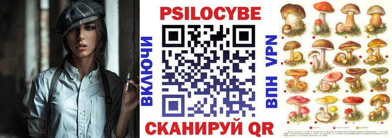 OMG сайт  Норильск  Псилоцибиновые грибы Psilocybe  купить наркотики цена 